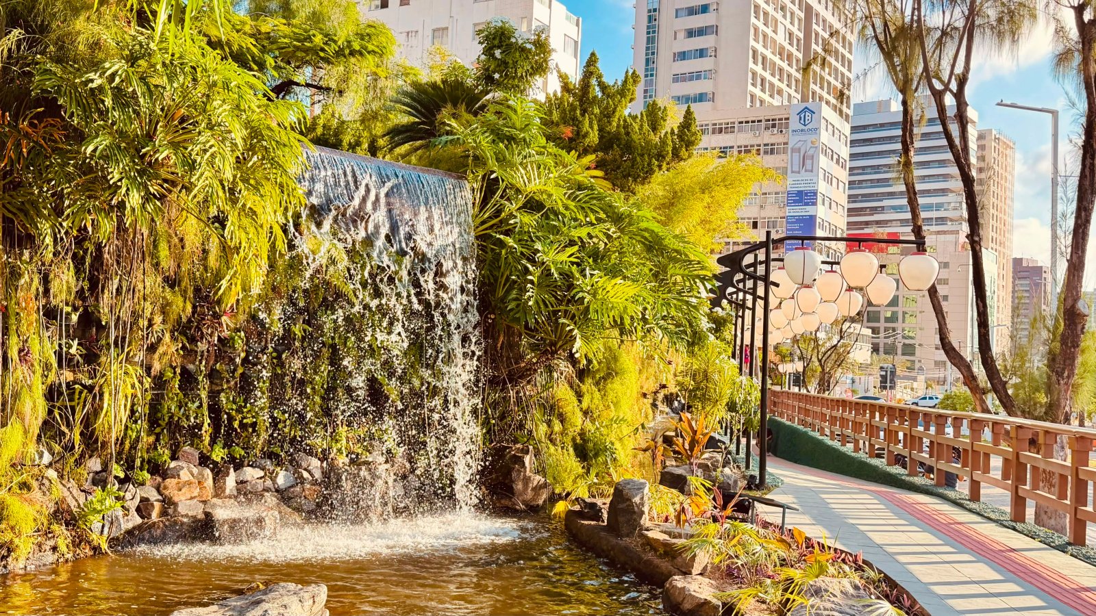 Prefeitura de Fortaleza abre inscrições para aulas gratuitas de karatê no Jardim Japonês